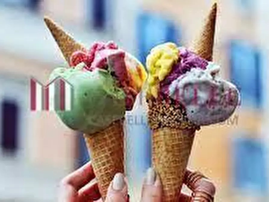 Immagine 1 di Attività commerciale in vendita  a Camaiore