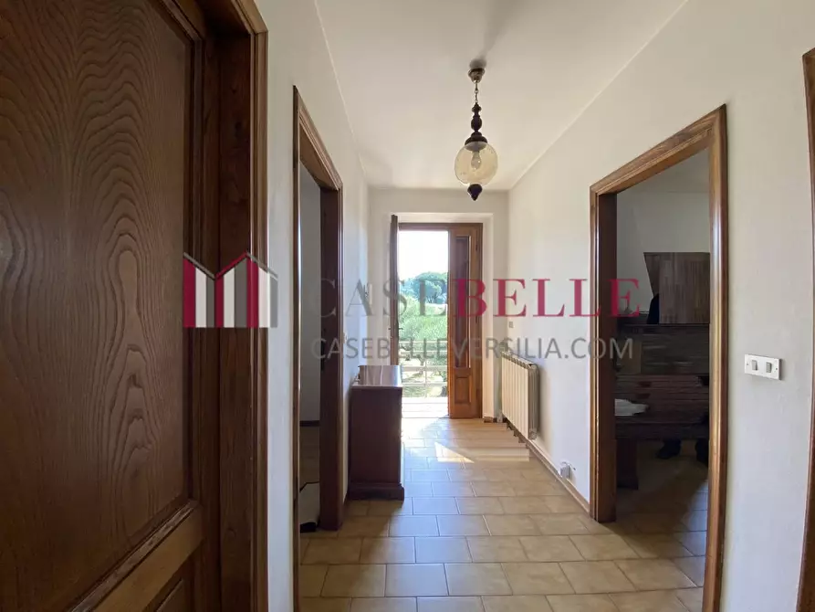 Immagine 40 di Rustico / casale in vendita  a Massarosa