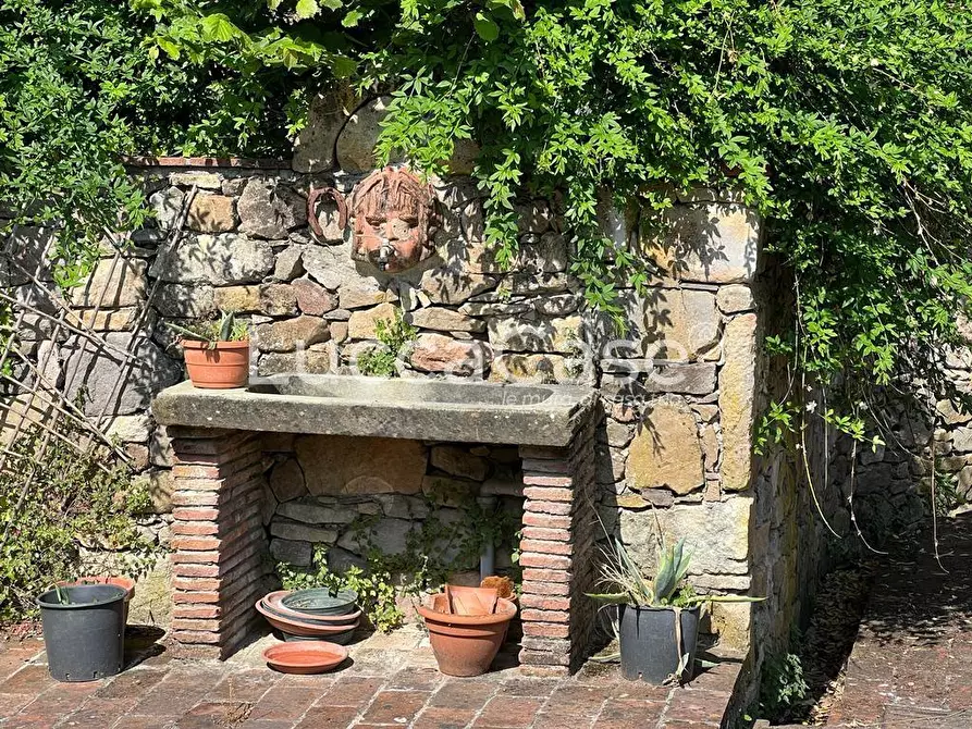 Immagine 9 di Rustico / casale in vendita  a Buti