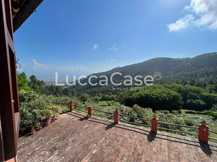 Immagine 12 di Rustico / casale in vendita  a Buti