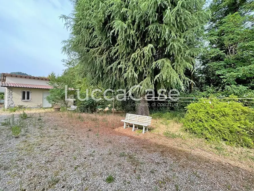 Immagine 29 di Villa in vendita  a Lucca