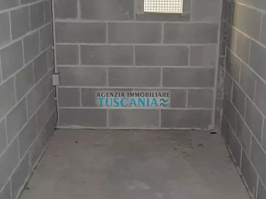 Immagine 19 di Appartamento in vendita  a Rosignano Marittimo