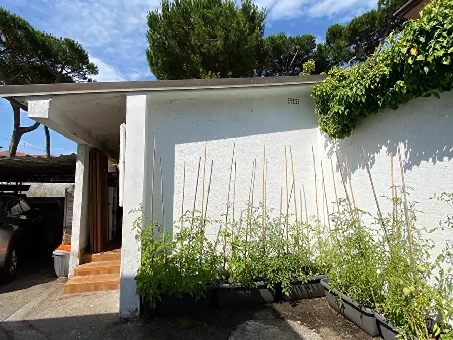 Immagine 14 di Villa in vendita  a Pietrasanta