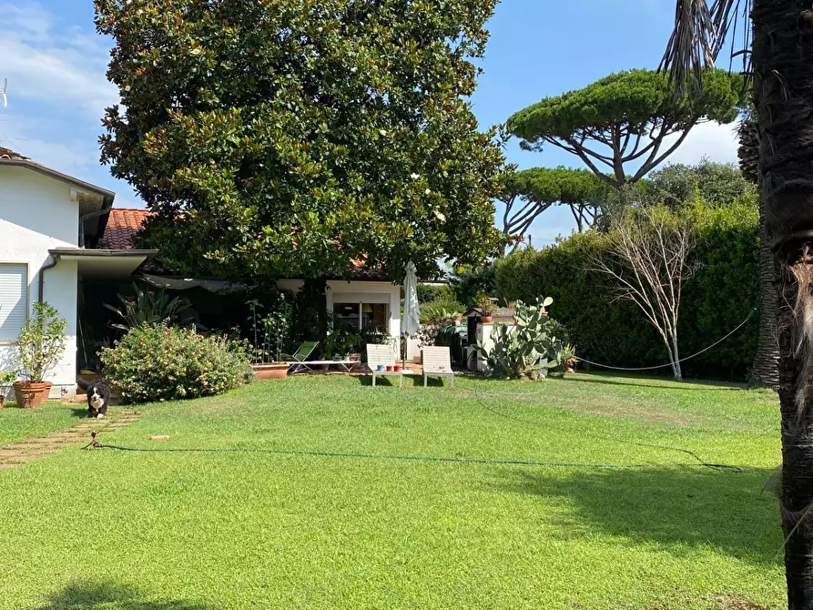 Immagine 3 di Villa in vendita  a Pietrasanta