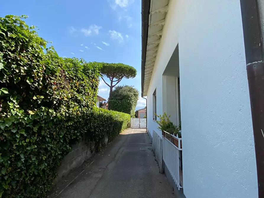 Immagine 15 di Villa in vendita  a Pietrasanta