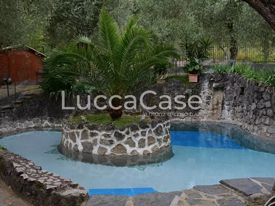 Immagine 2 di Villa in vendita  a Camaiore