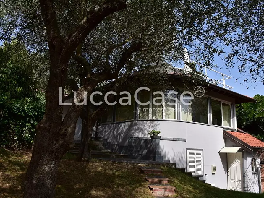 Immagine 3 di Villa in vendita  a Camaiore