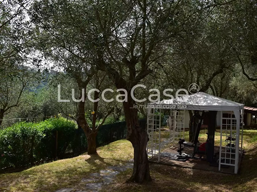 Immagine 4 di Villa in vendita  a Camaiore