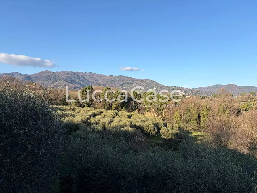 Immagine 51 di Villa in vendita  a Capannori