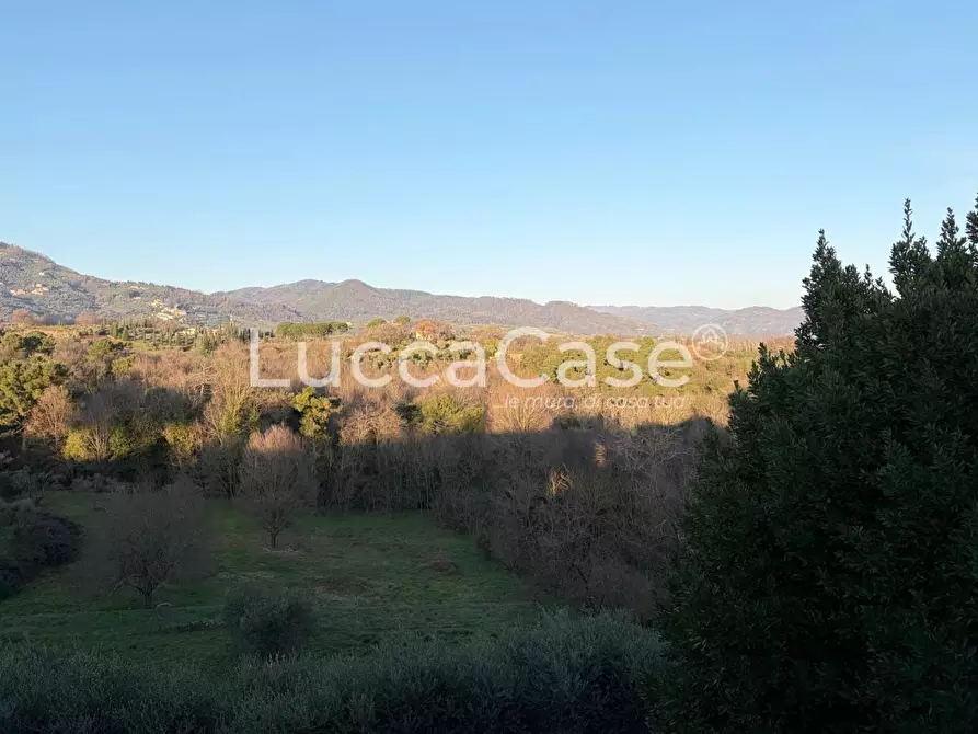 Immagine 66 di Villa in vendita  a Capannori