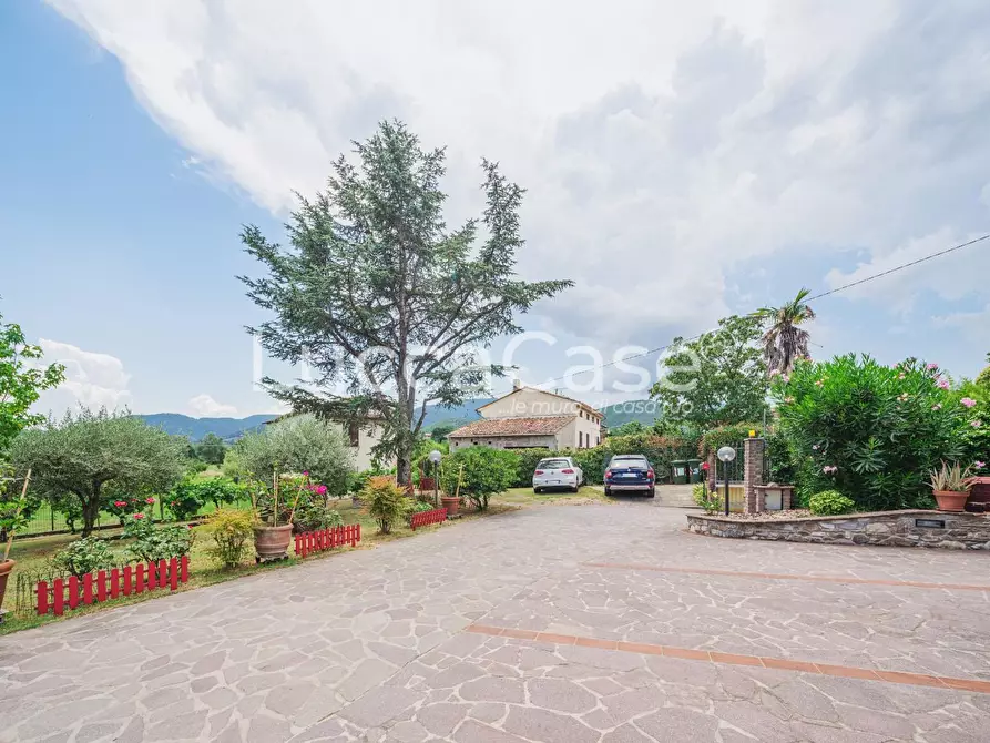 Immagine 21 di Casa colonica in vendita  a Capannori