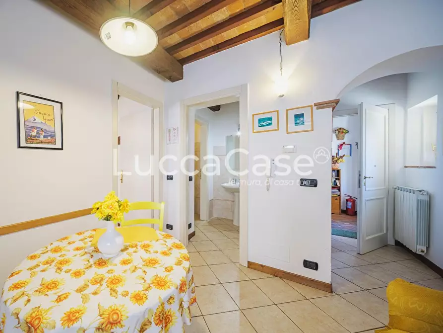 Immagine 46 di Casa colonica in vendita  a Capannori