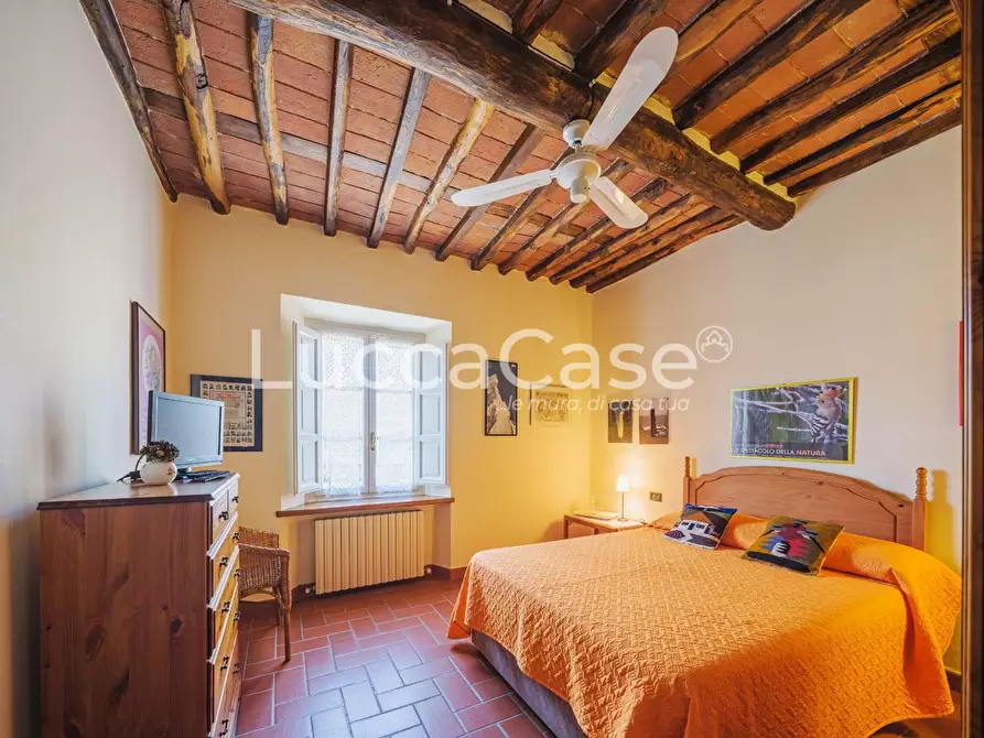 Immagine 35 di Casa colonica in vendita  a Capannori