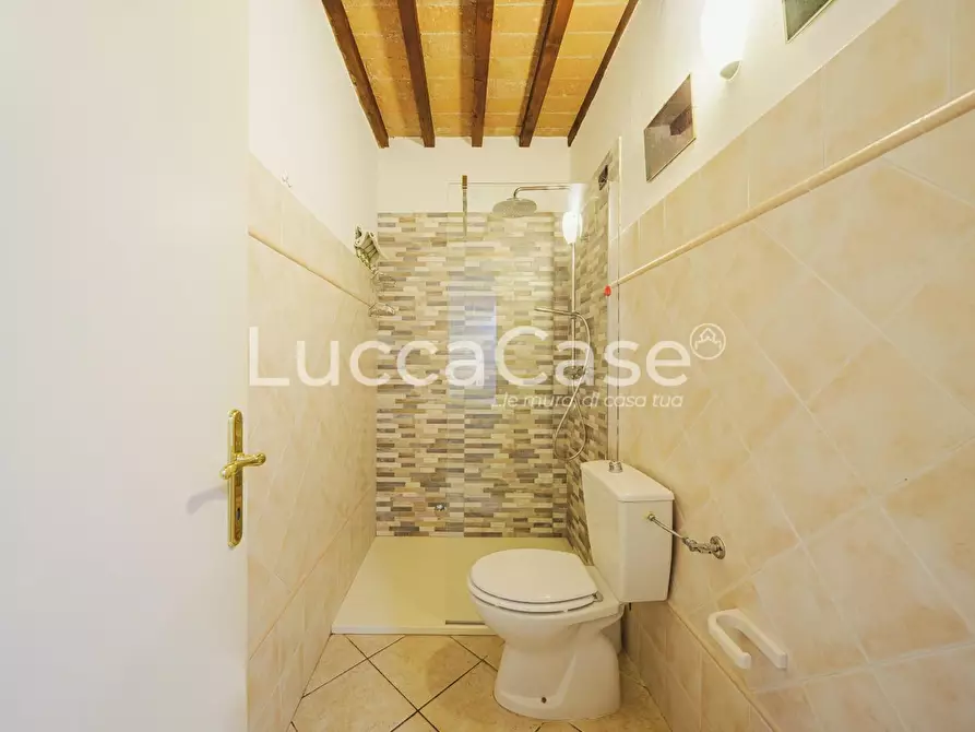 Immagine 47 di Casa colonica in vendita  a Capannori