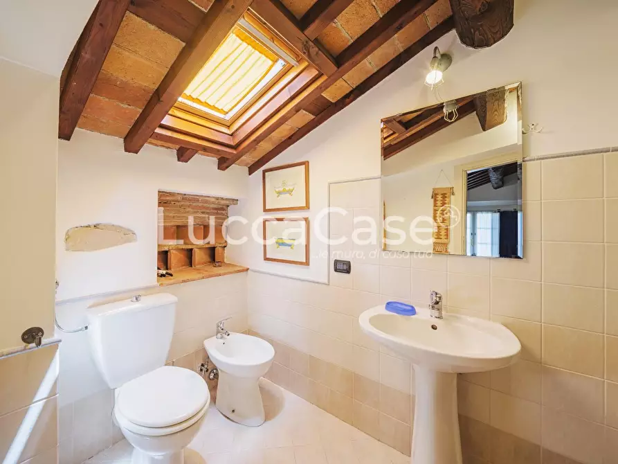 Immagine 61 di Casa colonica in vendita  a Capannori