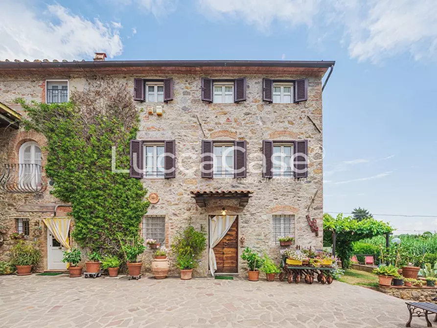 Immagine 6 di Casa colonica in vendita  a Capannori