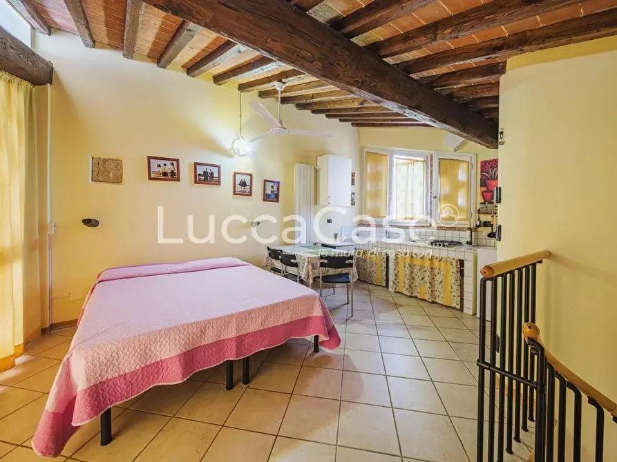 Immagine 65 di Casa colonica in vendita  a Capannori