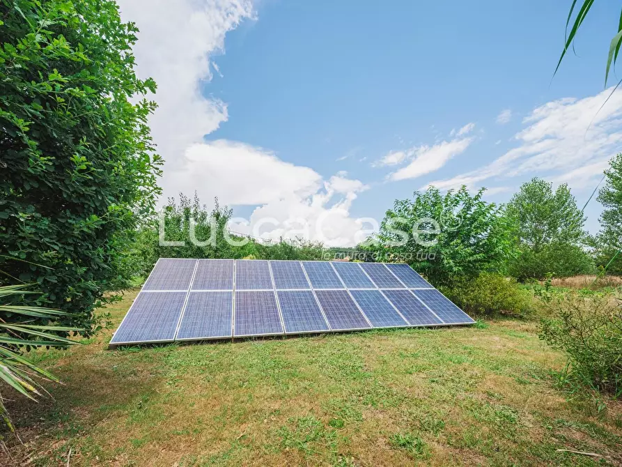 Immagine 22 di Casa colonica in vendita  a Capannori