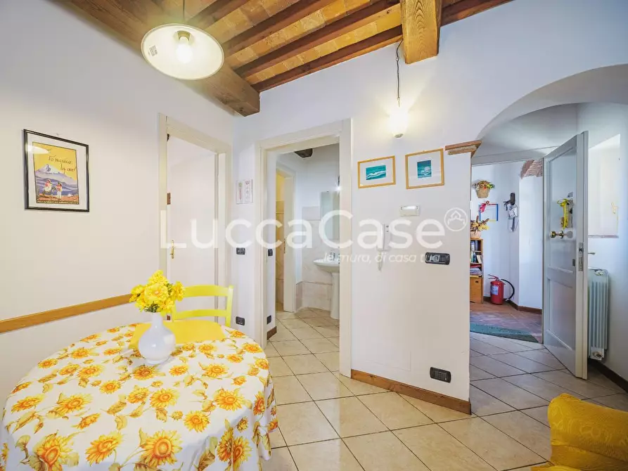 Immagine 49 di Casa colonica in vendita  a Capannori