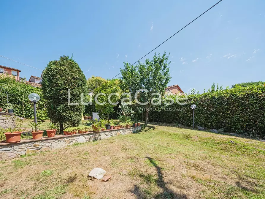 Immagine 8 di Casa colonica in vendita  a Capannori