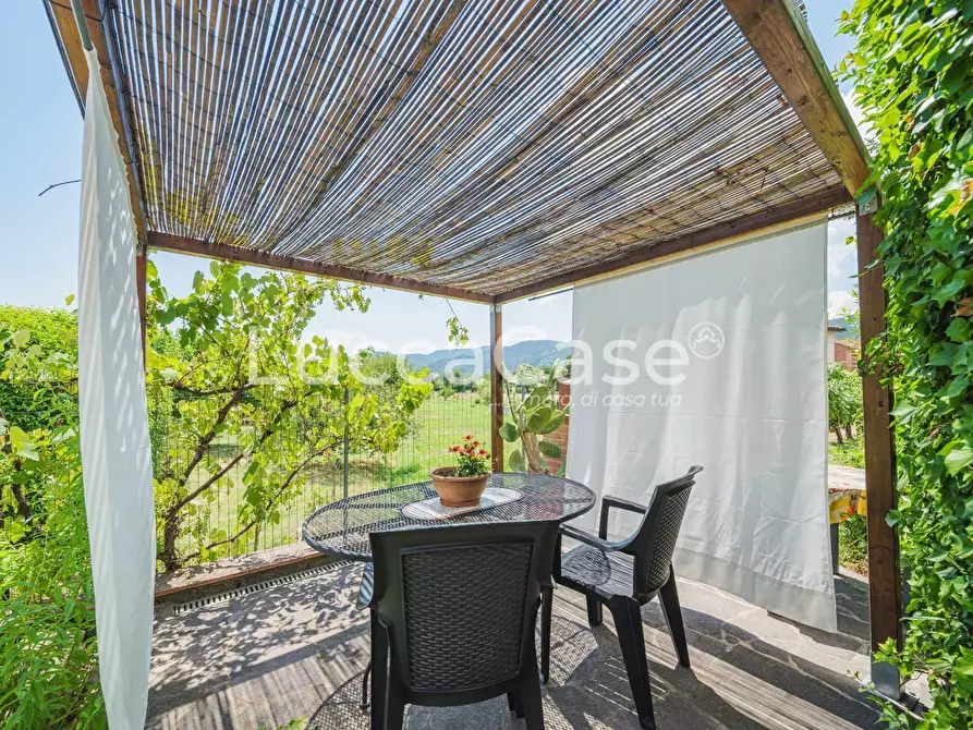 Immagine 12 di Casa colonica in vendita  a Capannori