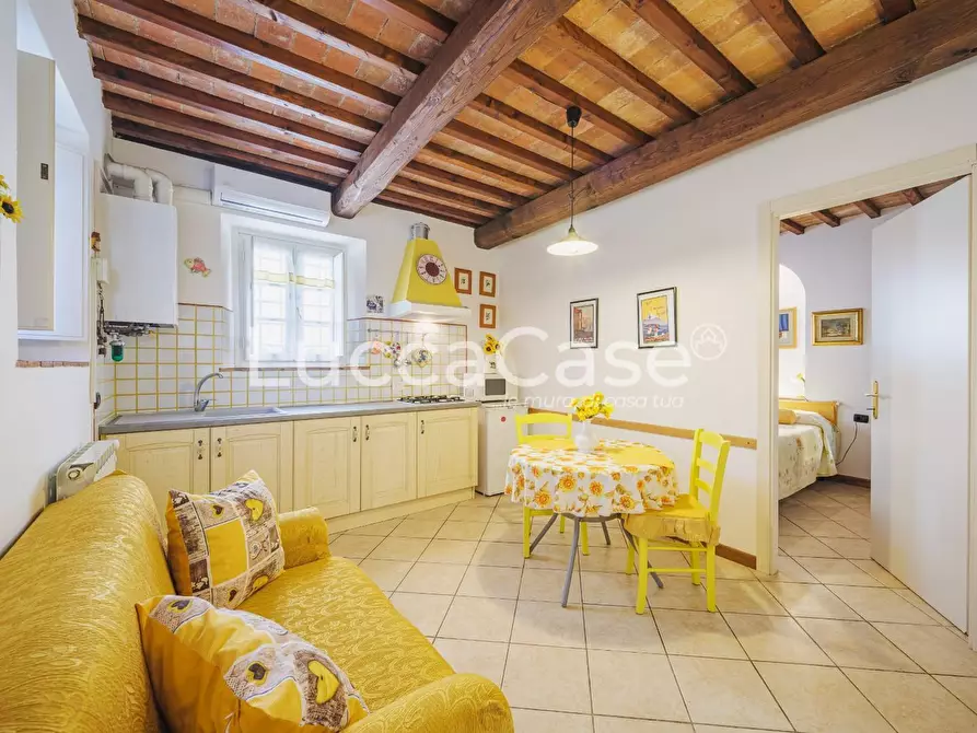 Immagine 44 di Casa colonica in vendita  a Capannori