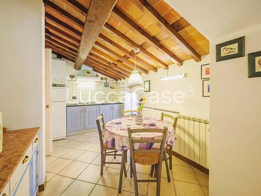 Immagine 62 di Casa colonica in vendita  a Capannori