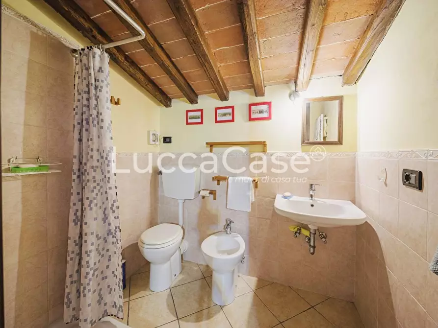 Immagine 64 di Casa colonica in vendita  a Capannori