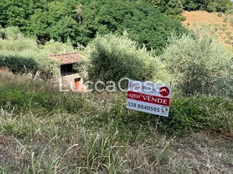 Immagine 5 di Deposito in vendita  a Pescaglia