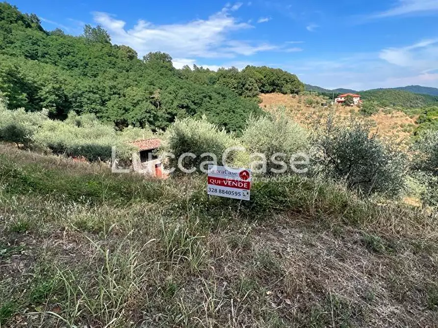 Immagine 6 di Deposito in vendita  a Pescaglia