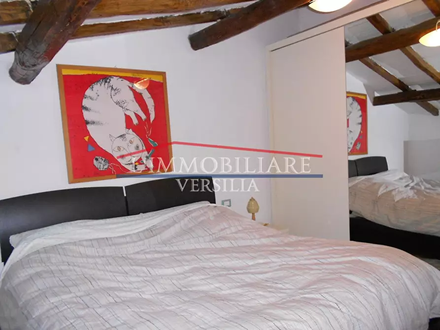 Immagine 21 di Appartamento in vendita  a Forte Dei Marmi