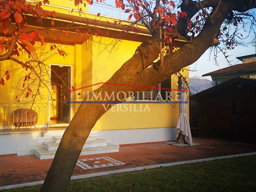 Immagine 18 di Casa bifamiliare in vendita  a Massa