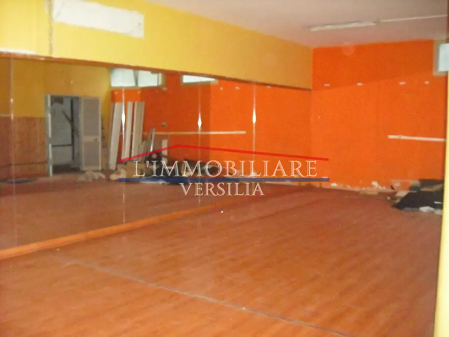 Immagine 24 di Locale commerciale in vendita  a Massa