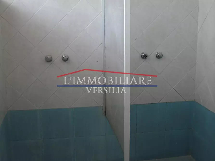 Immagine 13 di Locale commerciale in vendita  a Massa