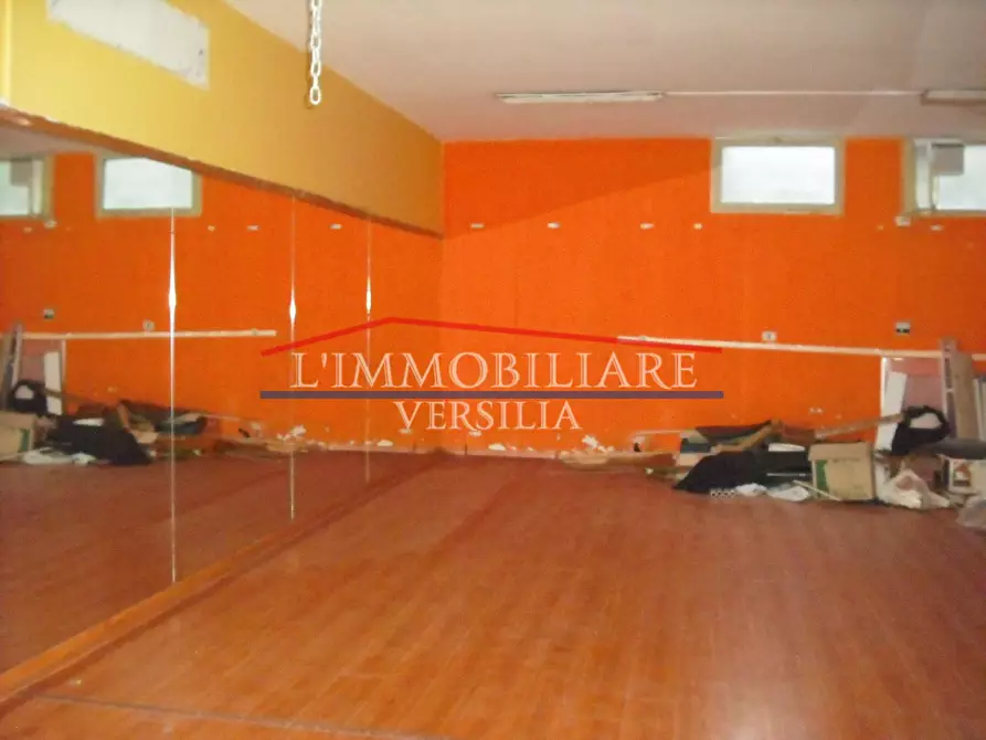 Immagine 23 di Locale commerciale in vendita  a Massa