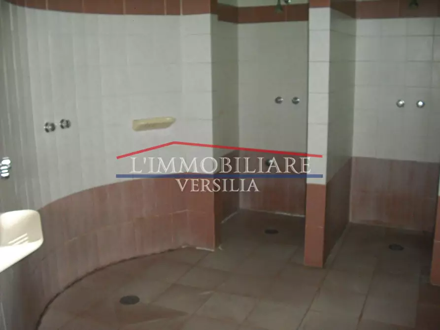 Immagine 31 di Locale commerciale in vendita  a Massa