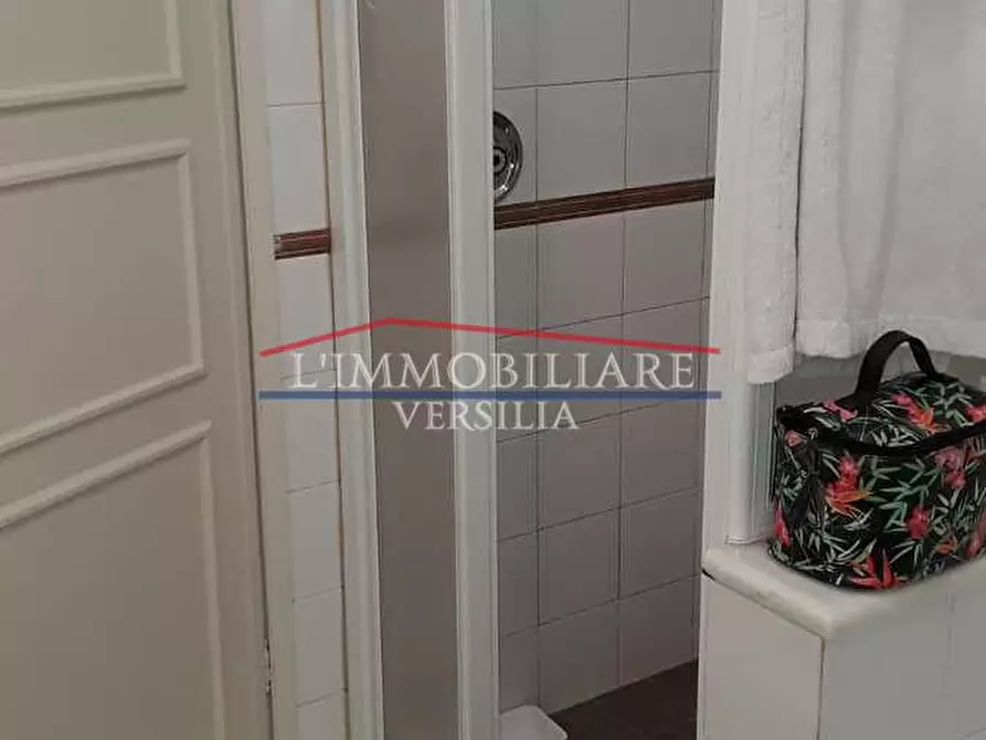 Immagine 25 di Villa in vendita  a Pietrasanta