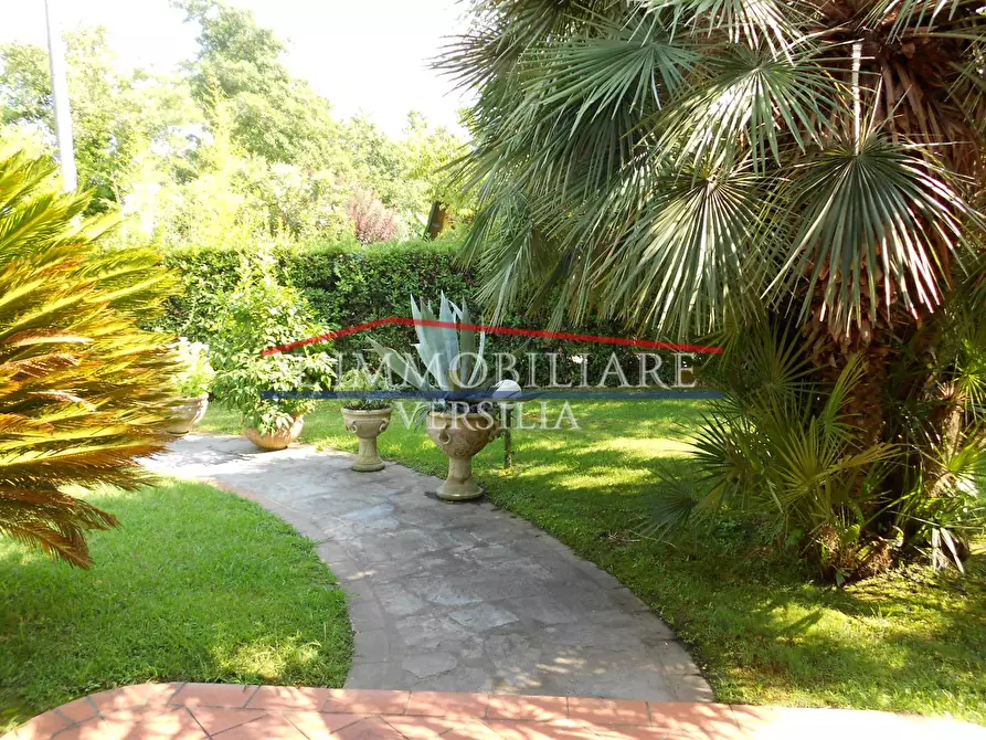 Immagine 18 di Villa in vendita  a Pietrasanta