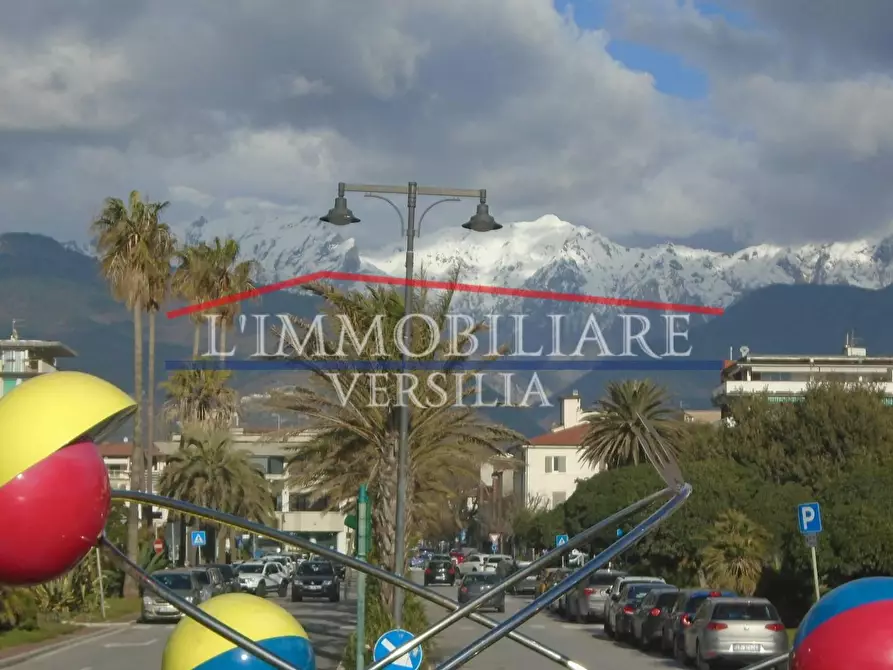 Immagine 30 di Appartamento in vendita  a Massa