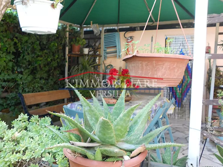 Immagine 47 di Casa indipendente in vendita  a Massa