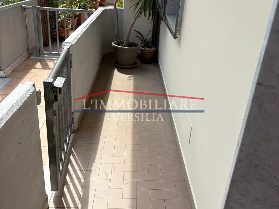 Immagine 40 di Casa indipendente in vendita  a Massa