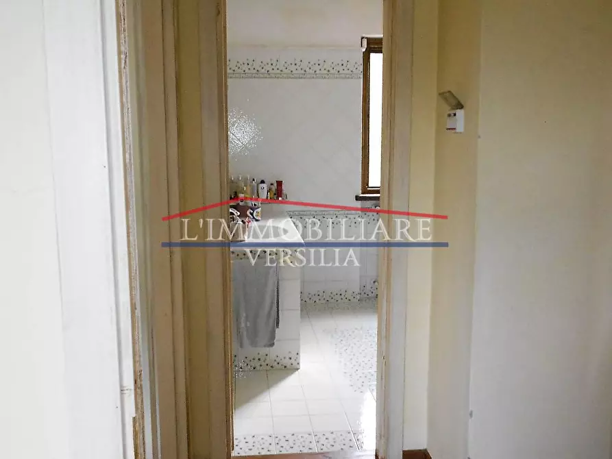 Immagine 31 di Villa in vendita  a Pietrasanta