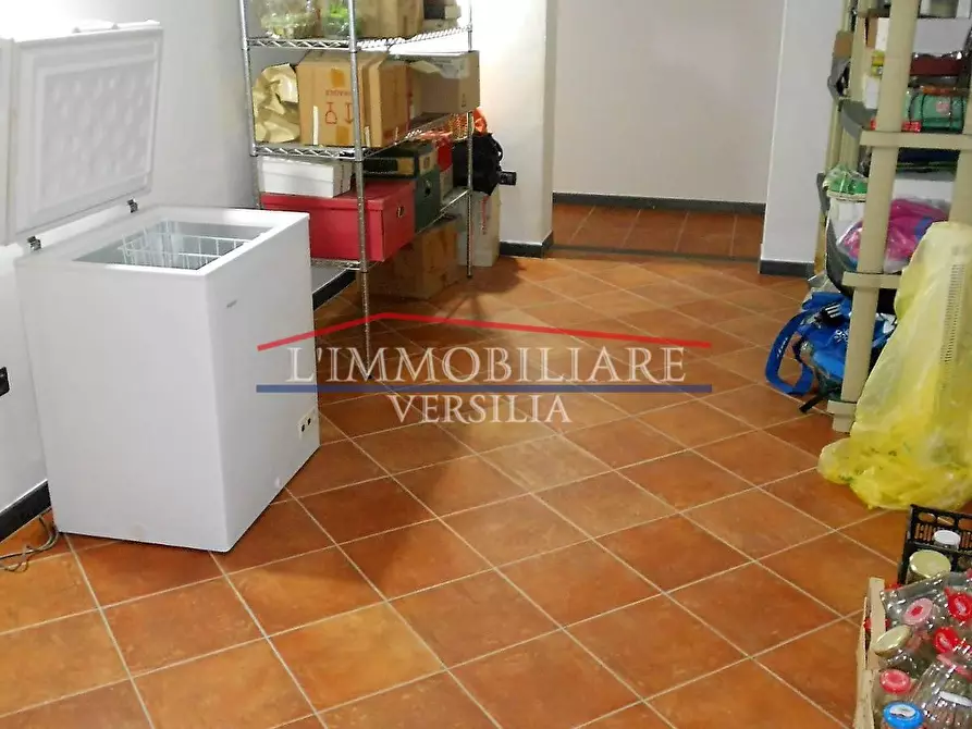 Immagine 23 di Villa in vendita  a Pietrasanta