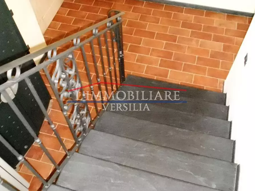 Immagine 53 di Villa in vendita  a Pietrasanta