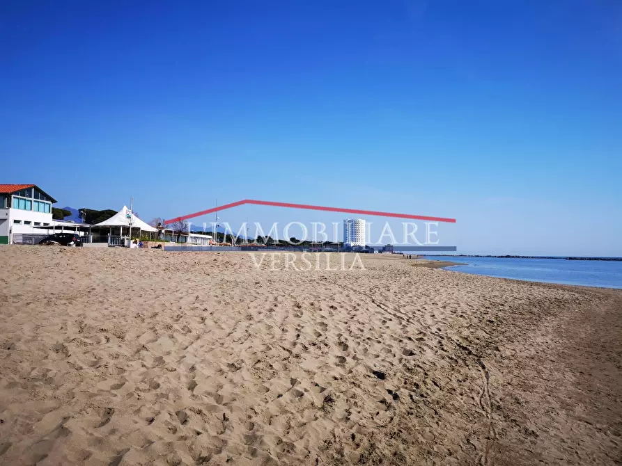 Immagine 46 di Villa in vendita  a Massa