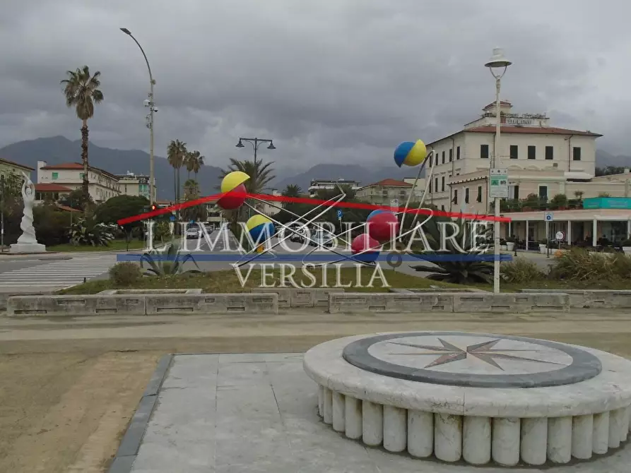 Immagine 32 di Villa in vendita  a Massa