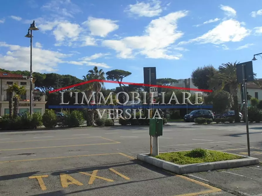 Immagine 42 di Villa in vendita  a Massa