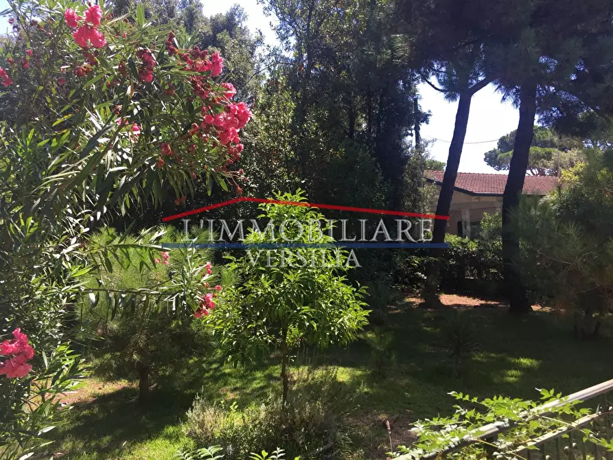 Immagine 25 di Villa in vendita  a Massa