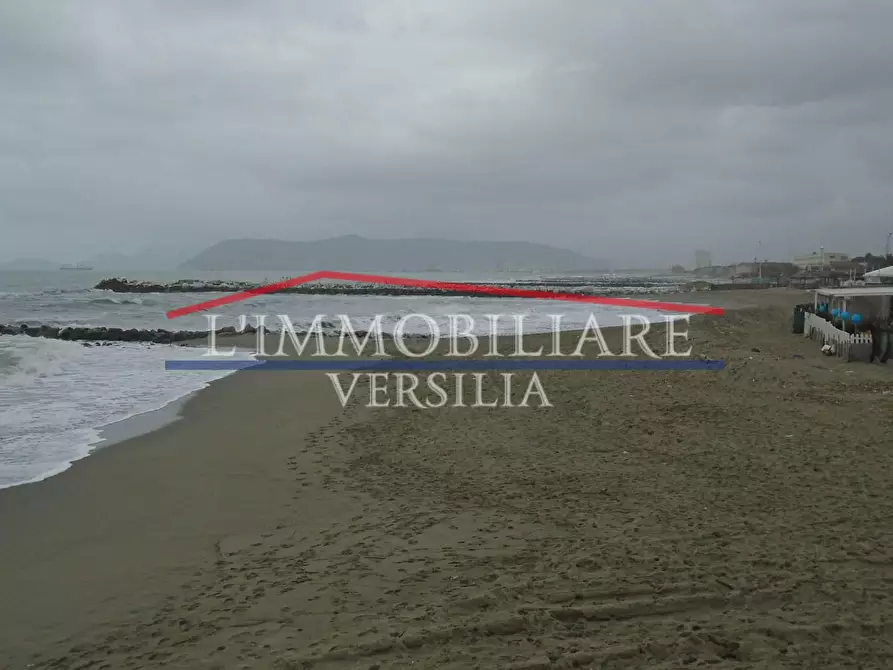 Immagine 28 di Villa in vendita  a Massa