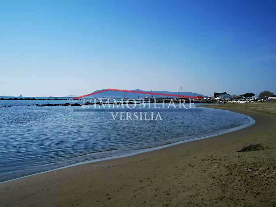 Immagine 48 di Villa in vendita  a Massa